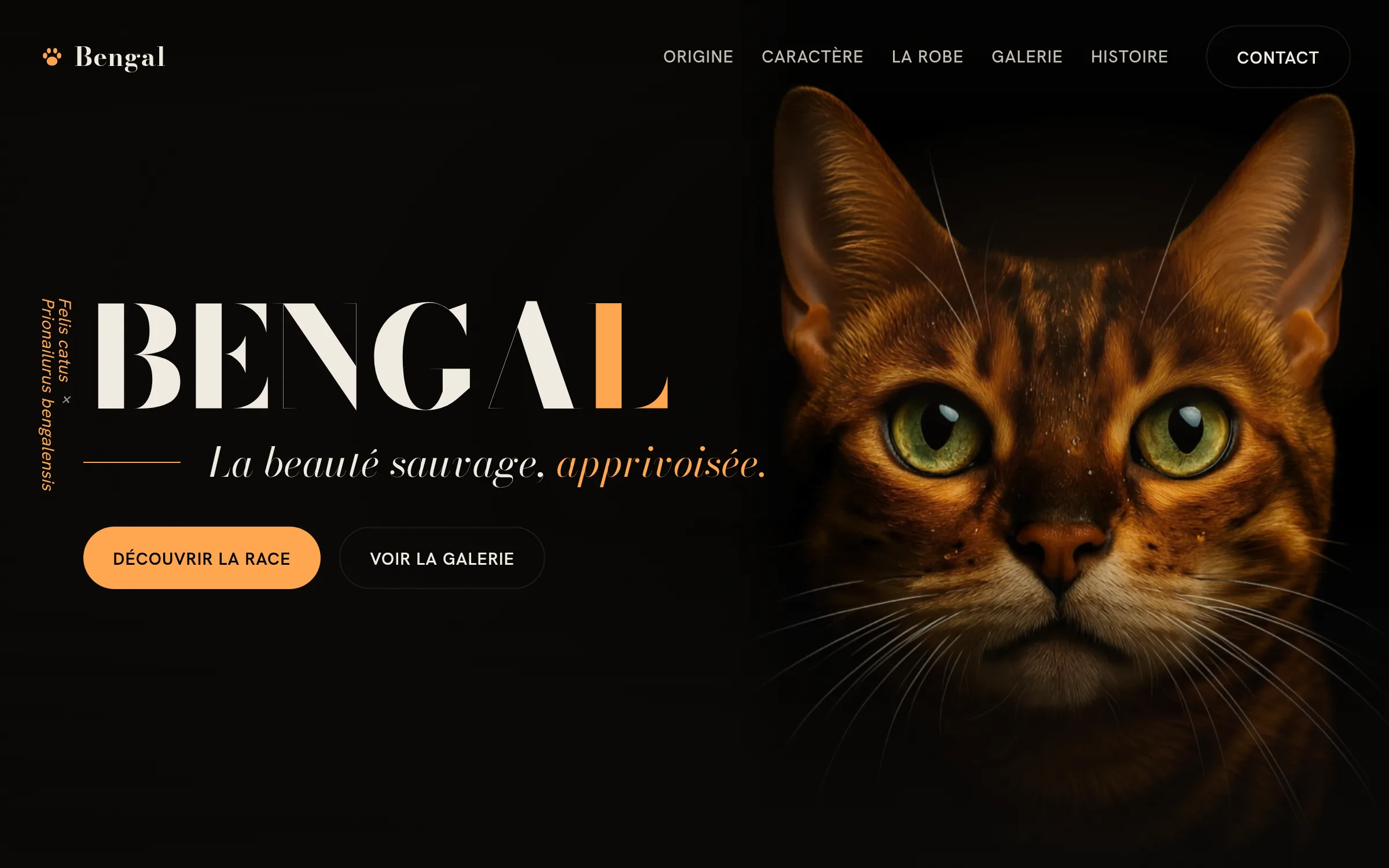 Bengal